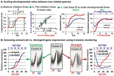 Corrigendum: Comparative Studies of Gene Expression Kinetics: Methodologies and Insights on Development and Evolution